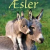Små Fakta: Æsler> Clearance