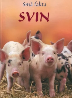 Små fakta: Svin>