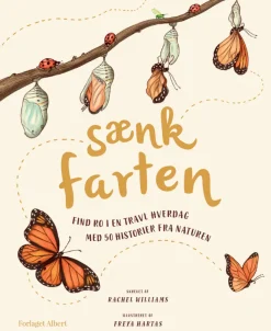 Sænk farten> New