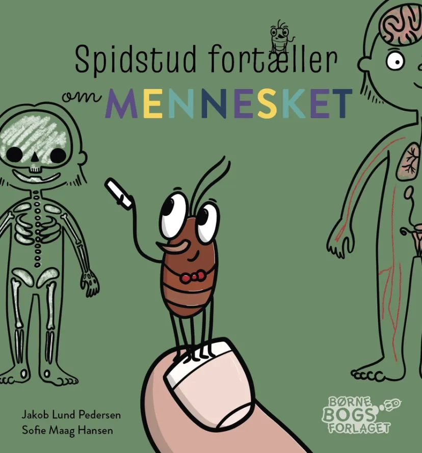 Spidstud fortæller om mennesket> New