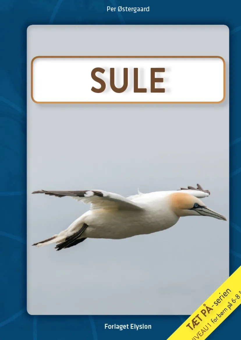 Sule> Discount