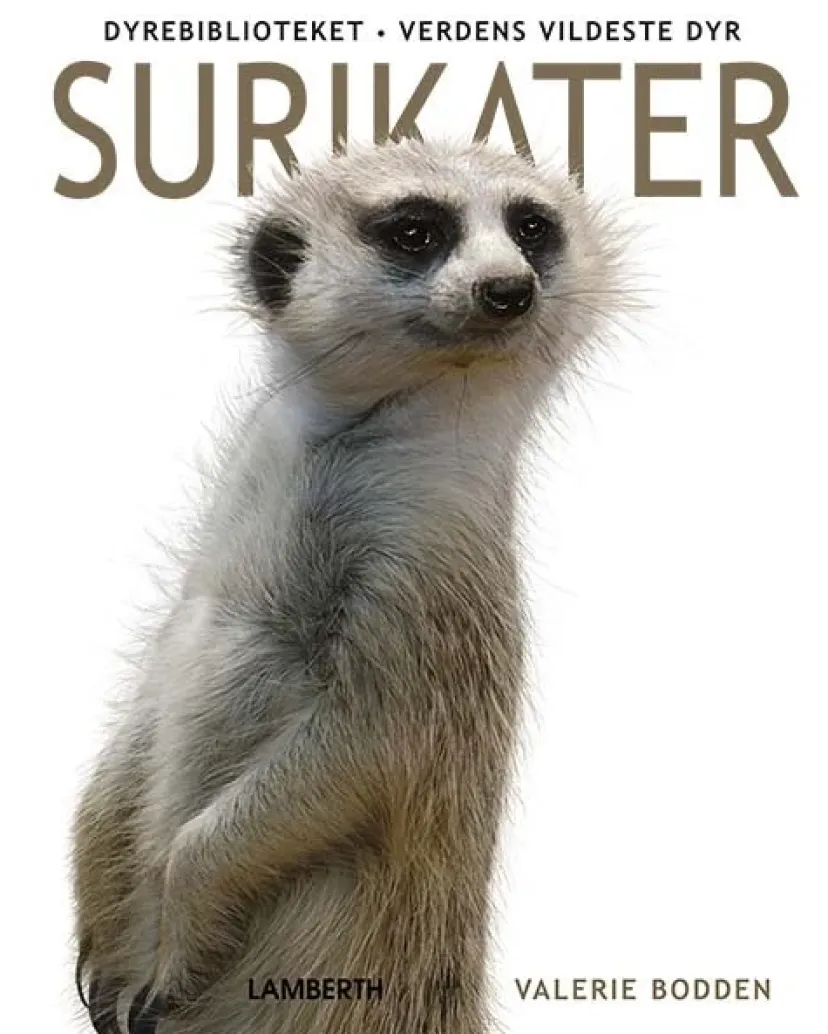 Surikater> Online