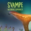 Svampe> Best