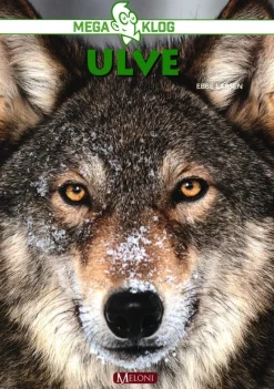 Ulve>
