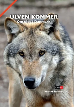 Ulven kommer> Hot